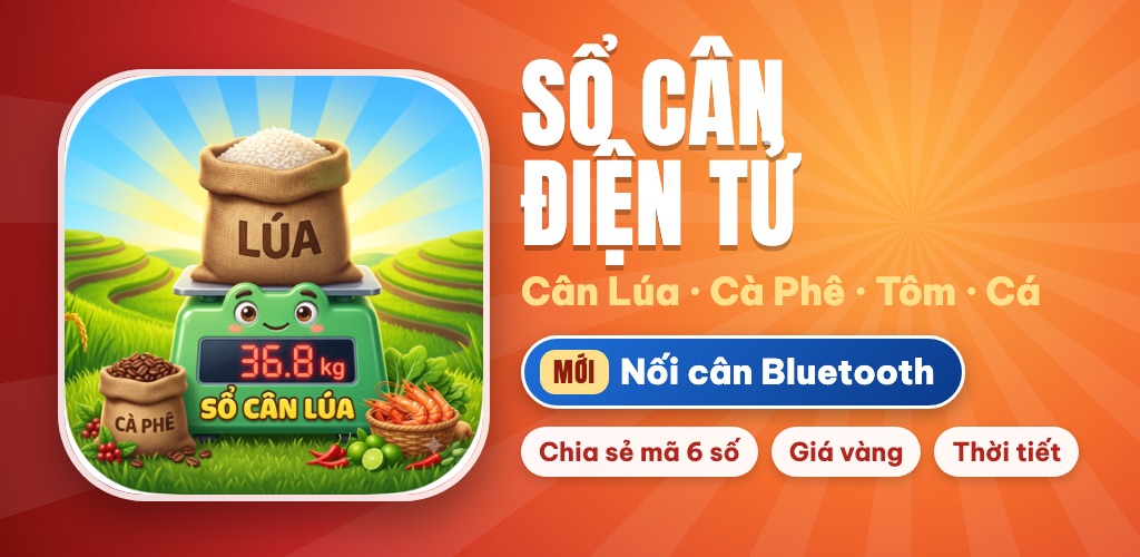 Cân điện tử Bluetooth Hoàng Gia kết nối app Sổ Cân Điện Tử